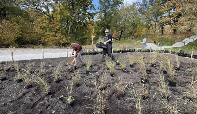 В одному з парків Львова висадили клумби багаторічників