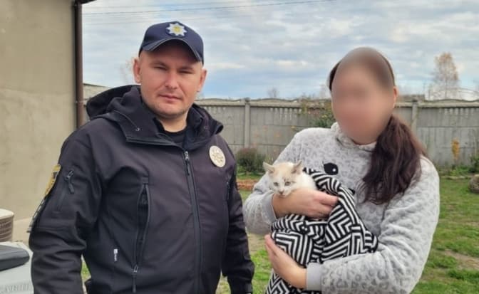 Скандал у Львові через знущання з кота: чоловік лікарки понесе покарання, тварину вилучили