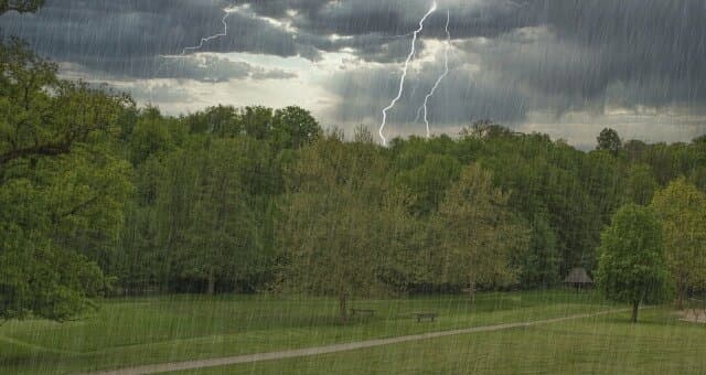 Ілюстративне фото