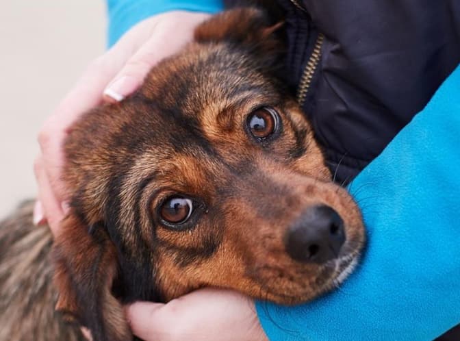 Фото: ЛКП "ЛЕВ"