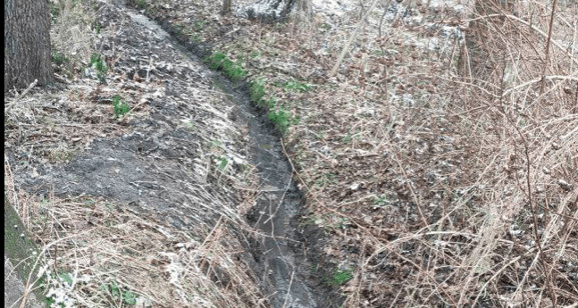 У селищі Рудно виявили канаву, якою мешканці спускали у ліс стічні води