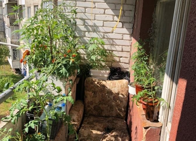 фото нацполіції львівської області