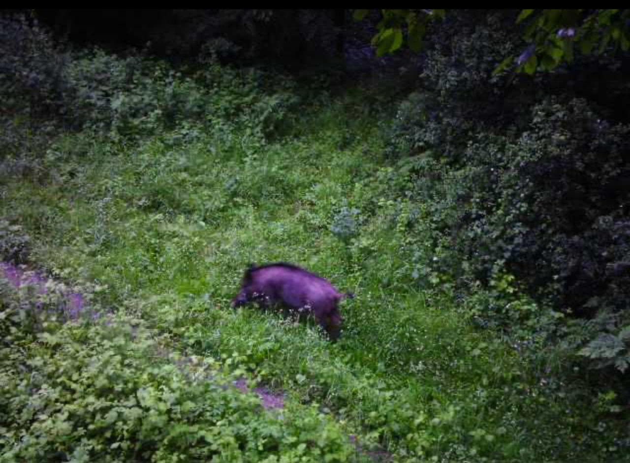 Фото: 7 прикордонний Карпатський загін