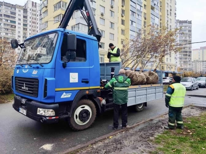 Осіннє озеленення триває: столицю прикрасили новими деревами