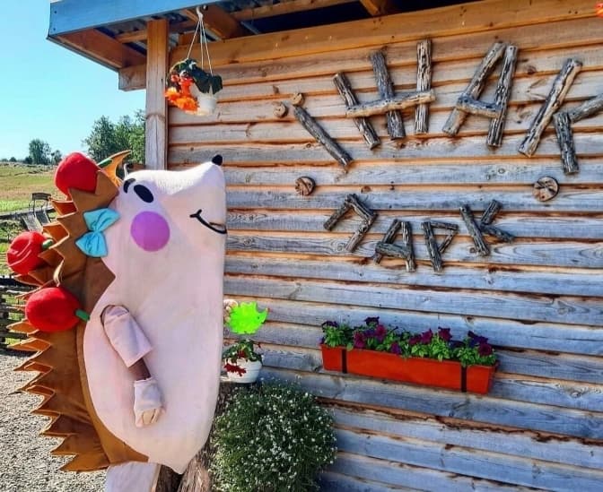 фото: їжак парк