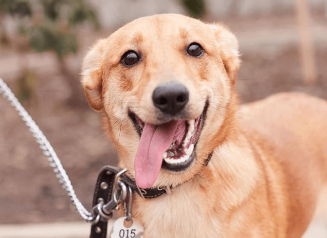 Фото: Ірина Шелест