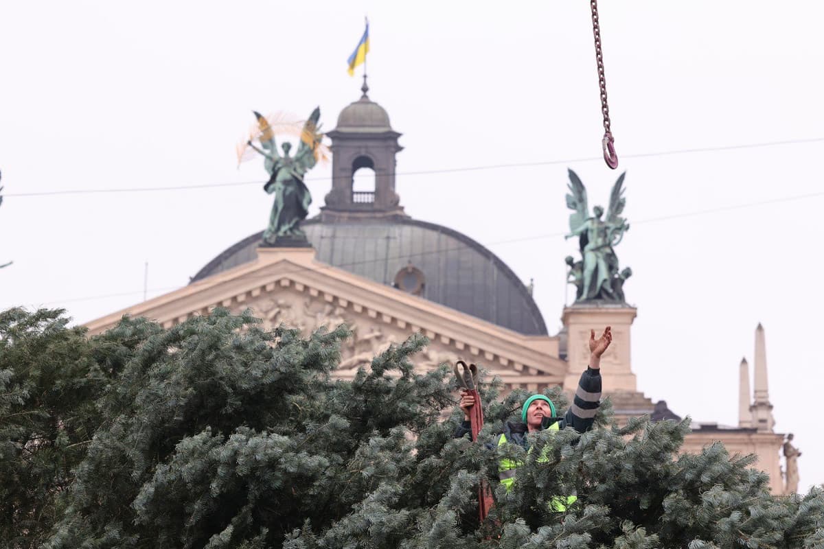 У Львові встановили головну Різдвяну ялинку. Фото