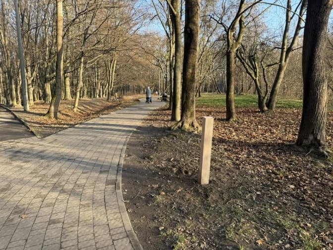 В одному з львівських парків буде 5 оздоровчих маршрутів