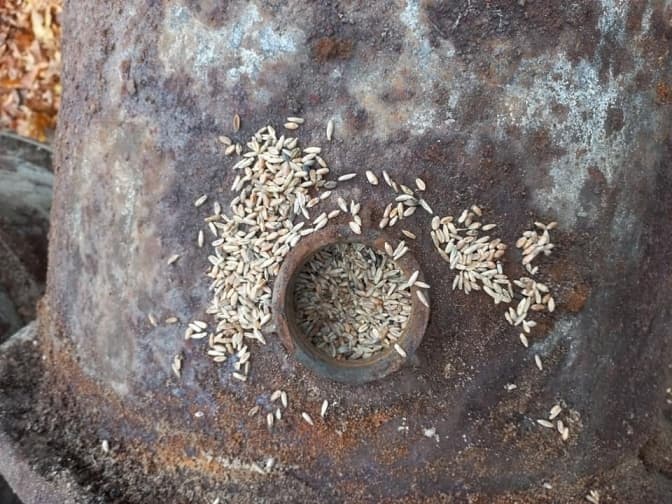 На Львівщині знайшли засипані зерном бочки часів голоду у 1947 році