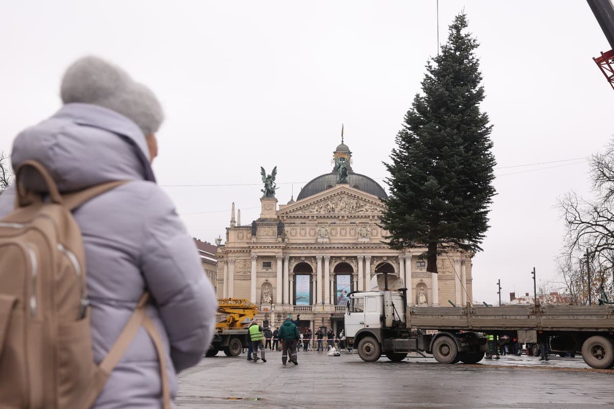 Львів'яни можуть купити живу ялинку на 25 офіційних локаціях. Адреси