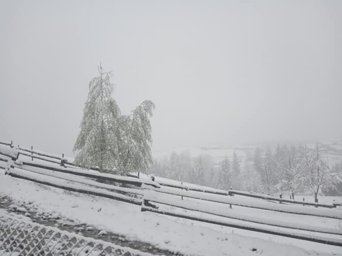 Фото: Марія Карповець