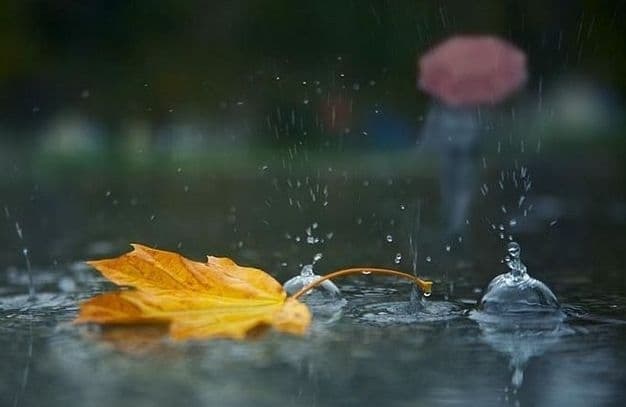 На Львівщині прогнозують дощі й сильні пориви вітру