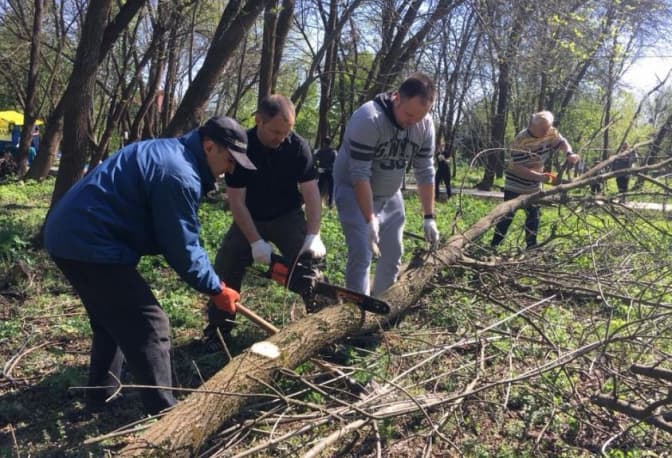 Фото: Толока в улюбленому парку