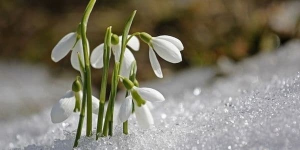 Умовне фото