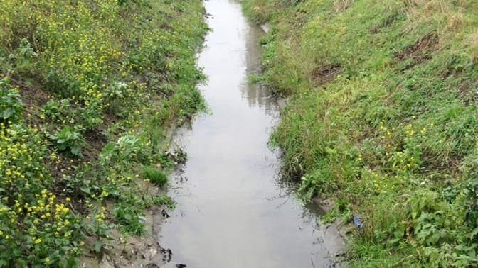 Фото: Річка Марунька