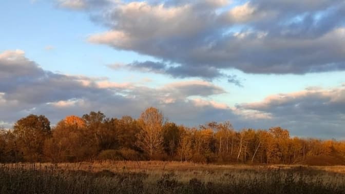 "Це буде найбільша така територія": у Львівській громаді створять заповідник площею 525 гектарів