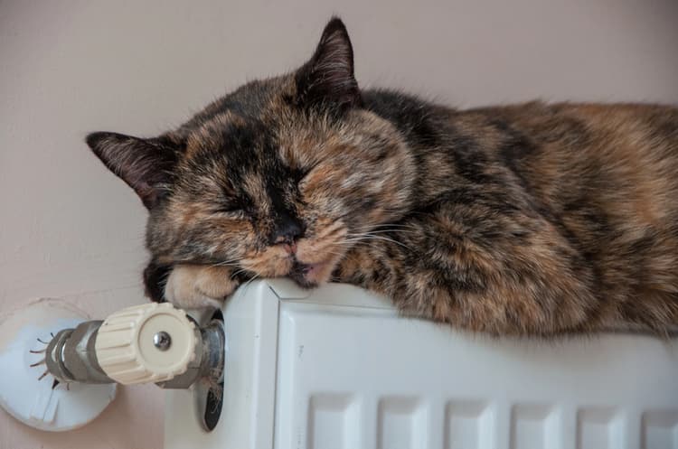 У Львові опалювальний сезон поки не завершують