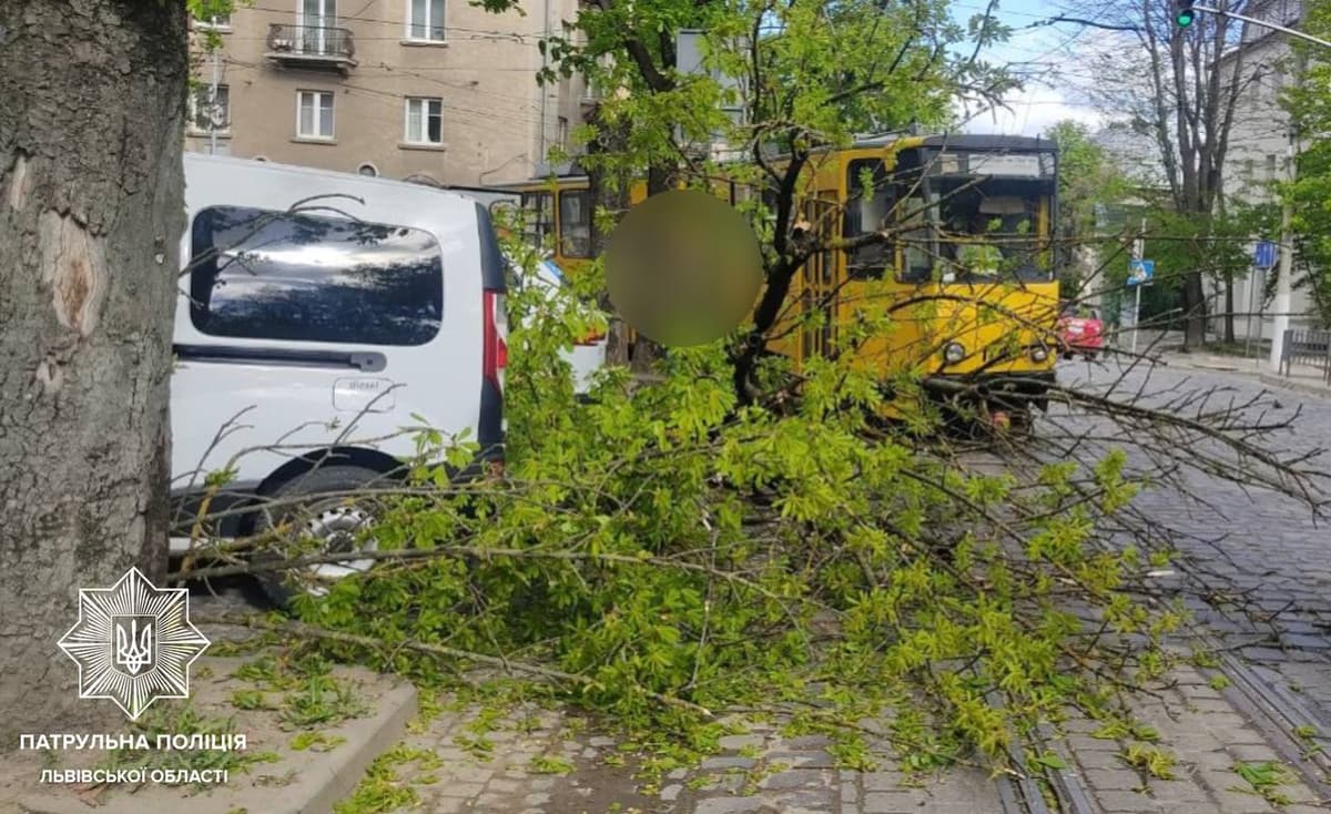 Сильний вітер у Львові повалив дерева і пошкодив авто: один із трамваїв не курсує