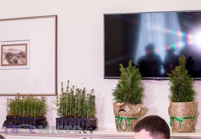 У Львові та області планують висадити 250 тисяч дерев