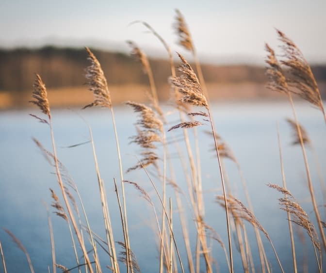 Фото з відкритих джерел