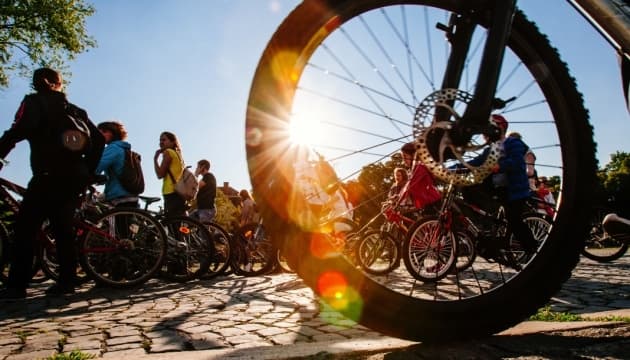 На Львівщині збудують нову лісову автомобільно-пішохідну дорогу