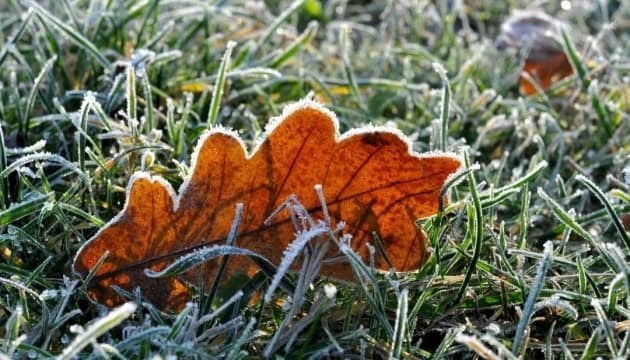 У Львові прогнозують сніг і заморозки