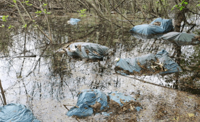 Київський заказник «Жуків острів» перетворився на смітник