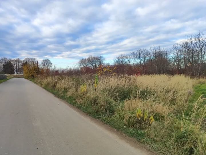 У Львівській громаді під час аукціону продали чотири земельні ділянки