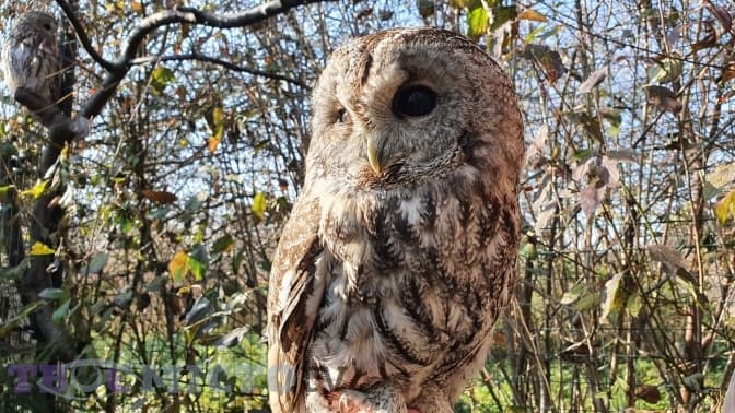 фото дар'ї кучер