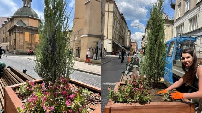 У центрі Львова висадили шість композицій із багаторічних рослин