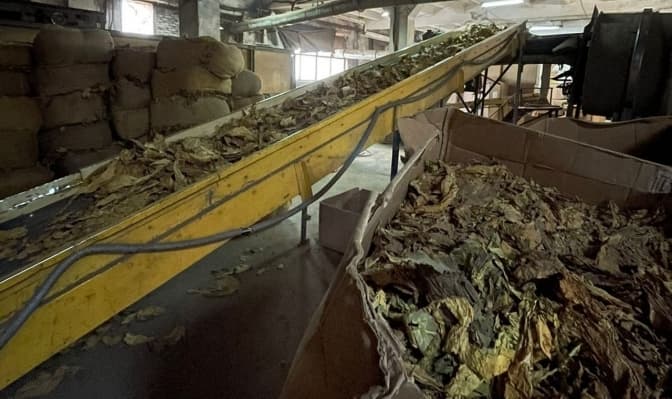 БЕБ проводить обшуки на тютюновій фабриці на Львівщині