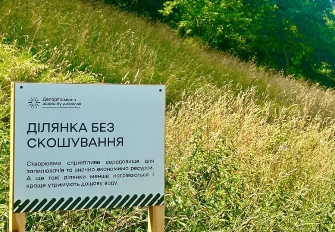 У Києві вирішили відмовитися від косіння трави