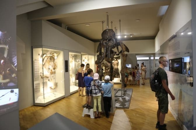 Фото з архіву музею