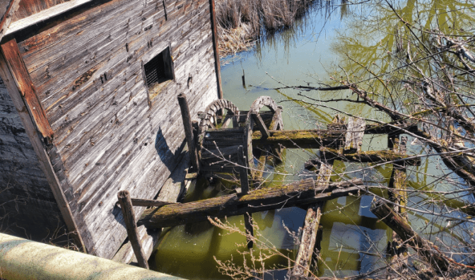 На Київщині активісти рятують останній в області дерев'яний водяний млин