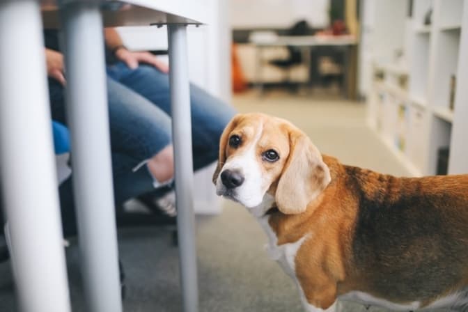 Фото: Facebook Yaroslav Alokhin