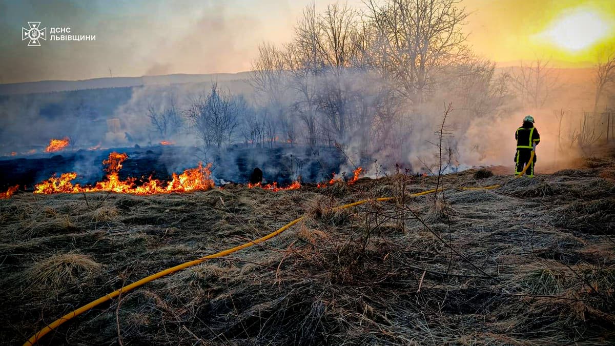 За добу у Львівській області згоріло 14 гектарів землі