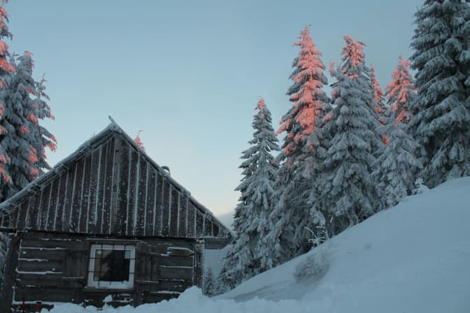 ілюстративне фото: www.gorgany.com