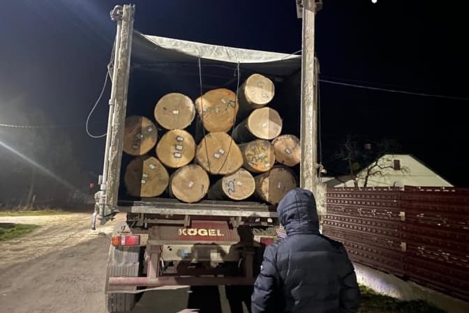 На Львівщині за незаконну вирубку дерев судитимуть посадовців лісомисливського господарства