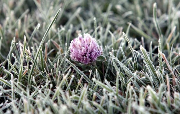 Заморозки та грози. Прогноз погоди у Львові на тиждень