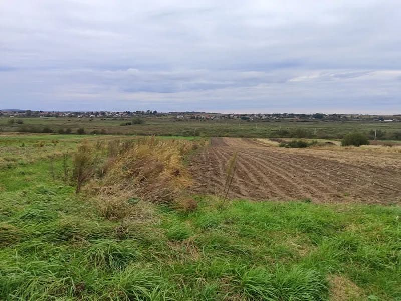 Львів продає право оренди на сільськогосподарські землі через аукціони