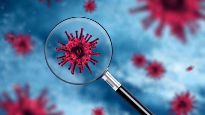 Фото: З відкритих джерел