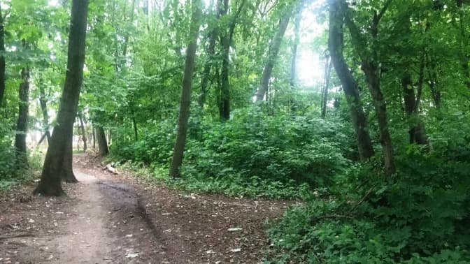 У Рудному збережуть парк. Зарезервували вже понад 4 га землі