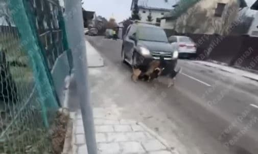 фото: реальний львів