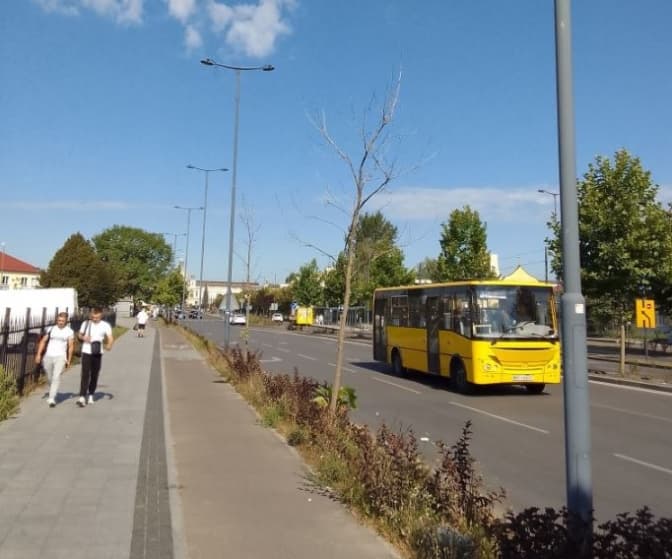 У Львові поскаржились, що новопосаджені дерева біля вокзалу всихають: що відомо