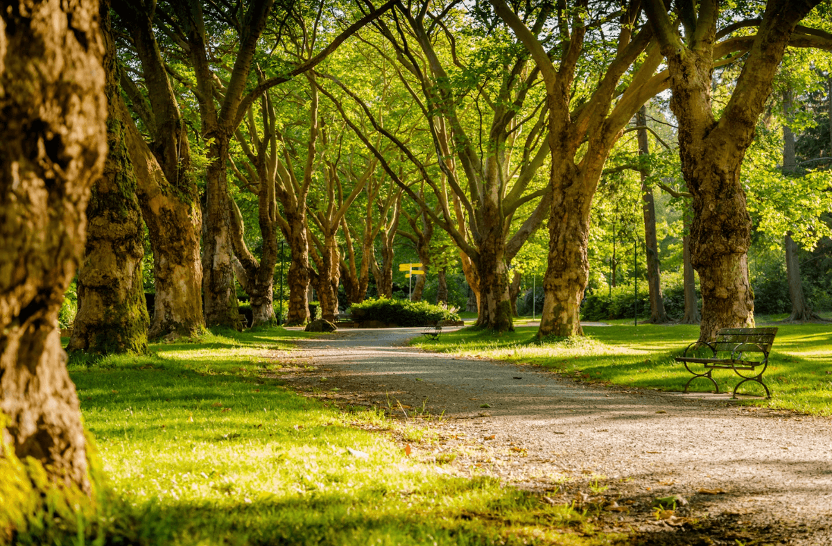 У Львові створять два нові сквери