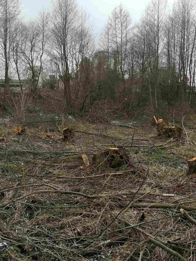 Фото:Державна екологічна інспекція у Львівській області
