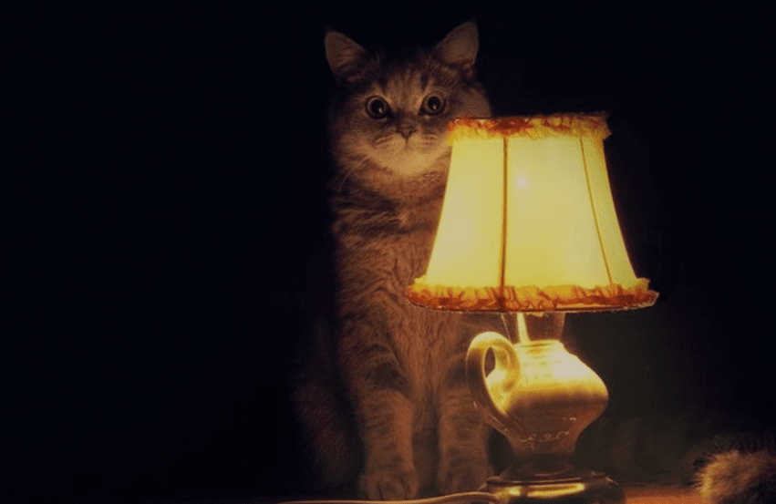 Ілюстративне фото / pinterest