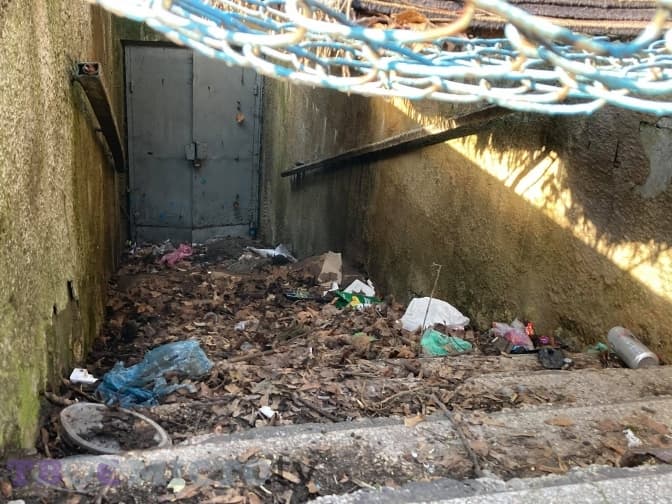 Фото: Вікторія Савіцька