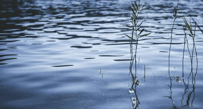 Фото умовне