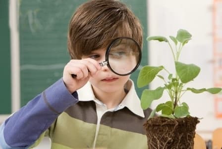 З 1 вересня з учнями львівських шкіл працюватимуть екокоучі